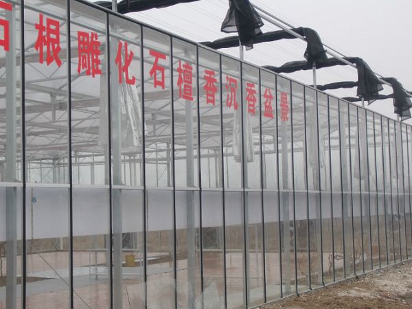 扬州盆景养殖温室大棚工程 PC阳光板